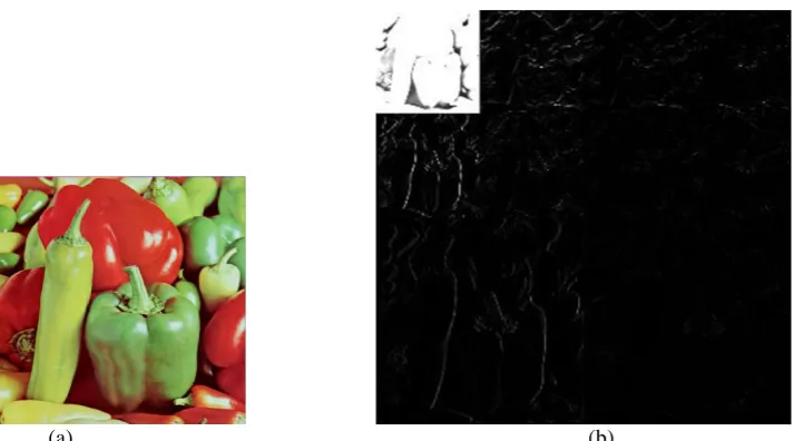 Fig 5 (a) and 5(b) shows the Pepper image and its extracted OWB based on the entropy distribution respectively
