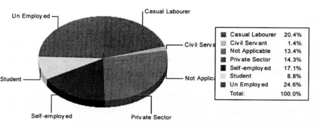 Figure 1.7 - Professions of the Residents who were not owners (Occupiers) 