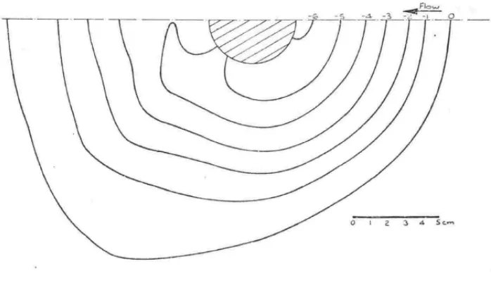 Figure 2.3 Contour plot of the resulting equilibrium scour hole after 2.5 hrs flow 