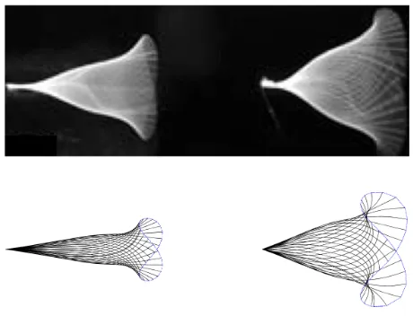 Figure 7: Beating patterns for a pair of ﬂapping ﬁlaments in drafting conﬁguration with aspacing of s/L = 0.6
