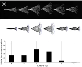 Figure 10: Six ﬂapping ﬁlaments in an in-line conﬁguration. Top: experiments of Ristrophand Zhang (2008)
