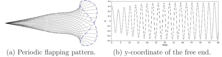 Figure 1: Flapping motion of a single ﬁlament immersed in ﬂuid at Re = 200, Ri = 0.5,∆ρ = 1.5