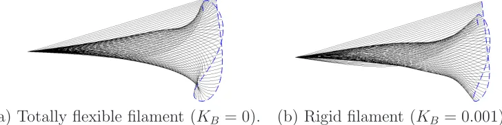 Figure 2: Comparison between instantaneous snapshots of the ﬂapping ﬁlament withoutbending (a) and with bending (b) starting from a straight initial conﬁguration at an angleof θ0 = 18o