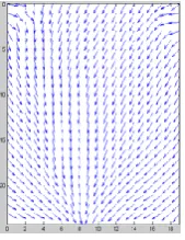 Fig 5.5 Ridge Flow map for rolled fingerprint   