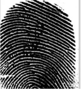 Figure 5.2 Binarised image for rolled fingerprint 