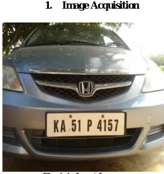 Fig 1.1: Input Image 