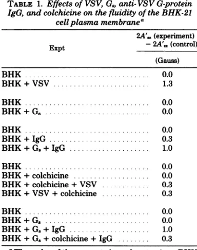 TABLE 1. Effects of VSV, G., anti-VSV G-proteinIgG, and colchicine on the fluidity of the BHK-21