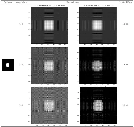Table 3.3: Results of TCCA and TSCCA for the circle image. First column shows thetrue image, and the rest of 6 images are recovered images by TCCA and TSCCA