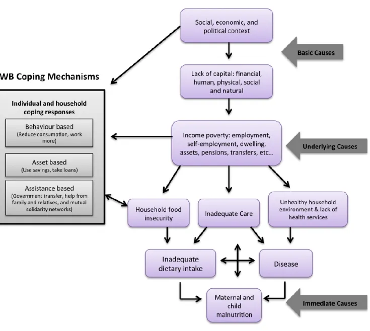 Figure 5: Adapted Conceptual Framework 