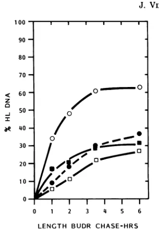 FIG. 4.NPC-I, Percentage of 3H-labeled HL DNA NPC-II+V, total NPC, and form I DNA.