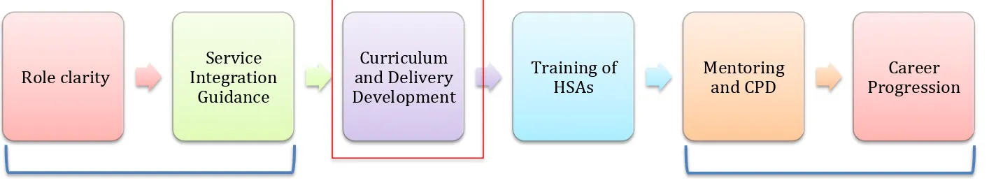 Figure 2: Outline of where HSA curriculum development fits within other timelines and activities  