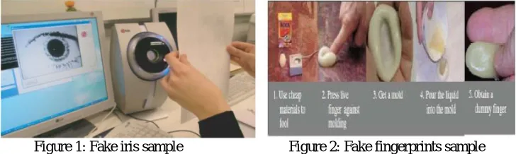 Figure 1: Fake iris sample                              Figure 2: Fake fingerprints sample 