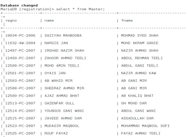 Figure 2: Data of Master Table 