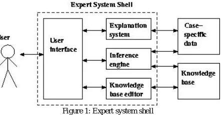 Figure 1: Expert system shell  
