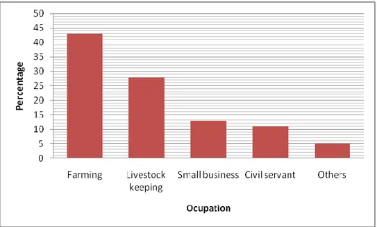 Figure 4.5: Occupation among Respondents  Source: Research Data (2016) 