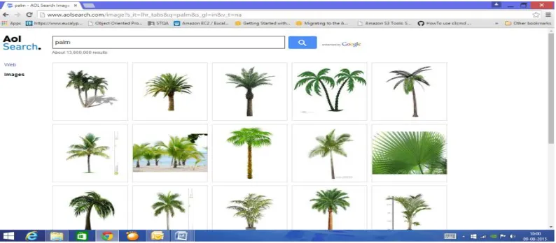 Fig. 2. The result obtained from the AOL search engine after query “palm”.  