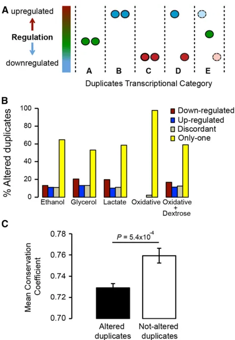 Figure 2 Duplicated genes exhibit differential patterns of transcrip-tional plasticity under stress