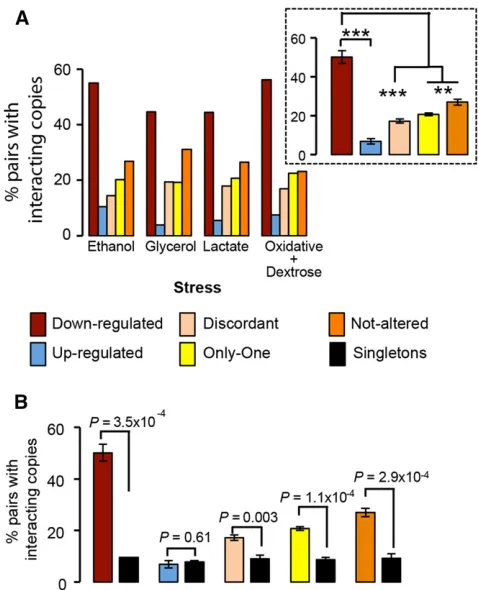 Figure 3 The genetic dependencies between gene copies of tran-of pairs with interacting gene copies was very high in the category ofdown-regulated duplicates (red bars), very low in the category ofup-regulated duplicates (blue bars), and intermediate in th
