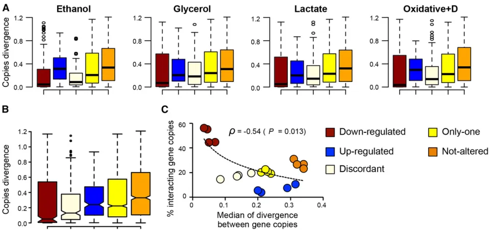 Figure 4 Functional divergence analysis of duplicates with different patterns of transcriptional plasticity