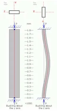 Figure 9: Strut buckling (Lewis 2005) 