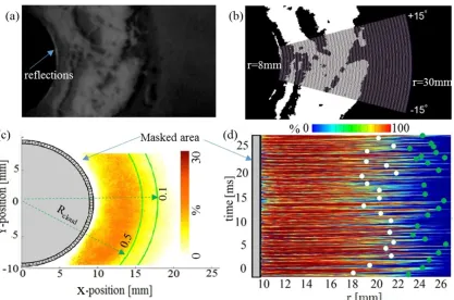 Fig. 3: (a) Representative raw image, (b) binary image after applying a threshold method; the circumferential sectors utilised for post-processing are superimposed