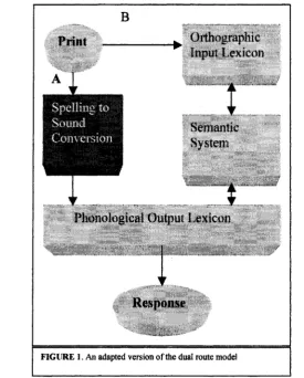 FIGURE 1. An adapted version of the dual route model