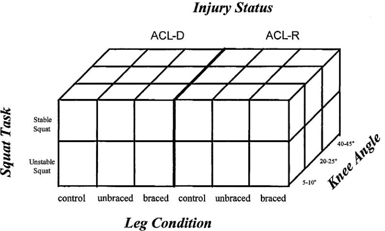 Figure 18. The study design is represented a s a 2 x 3 x 3 x 2  matrix of the independent variables three for ACL-Deficient and Reconstructed groups