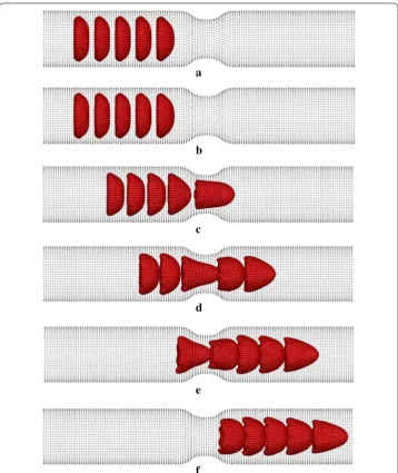 Fig. 7. Deformation of five RBCs when they flow in a stenosed capillary with the stenosed diameter of 6.8 µm at a t = 0 ms, b t = 0.1 ms, c t = 0.2 ms, d t = 0.3 ms, e t = 0.4 ms and f t = 0.47 ms
