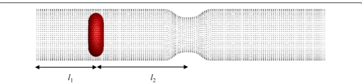 Fig. 8 Variation of the DI of five RBCs with time when they flow in a stenosed capillary with the stenosed diameter of 6.8 µm