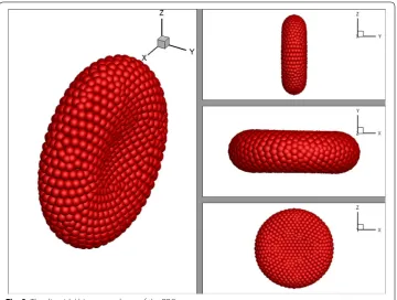 Fig. 2 The discoidal biconcave shape of the RBC