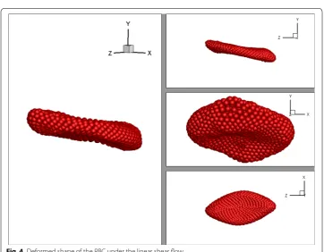 Fig. 3 Initial position of the RBC in the rectangular channel