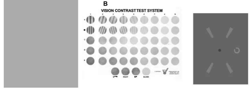 Figure 16. A Pelli-Robson chart http://www.psych.nyu.edu/pelli/pellirobson/. B Vision 