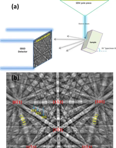 Figure 2. EBSD experimental setup. (a) Schematic of a standard EBSD detection geometry and (b) EBSD pattern from a GaP thin film marked with some major lattice planes and well-visible zone axes.