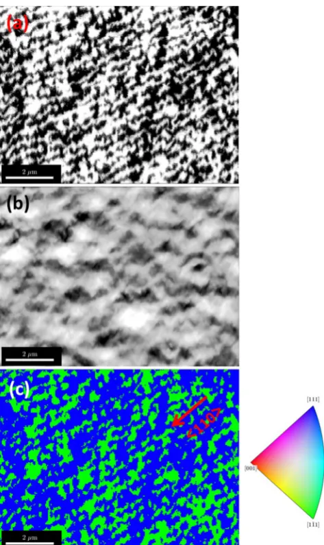 Figure 4. Imaging antiphase domains. (a) Region of interest asymmetry imaging from the {111} bands produced from the background corrected EBSD patterns