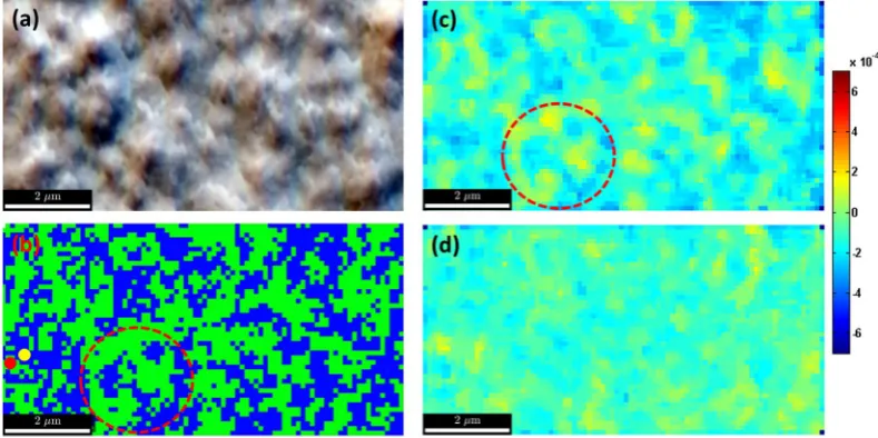 Figure 6. Comparison of IPF maps with cross correlation based MAE maps. (a) Forescatter image, (b) IPF map, (c) MAE (in radians) map plotted with green area in the IPF as a reference pattern, see red dot and (d)) MAE map with blue area as the reference pattern, see yellow dot.