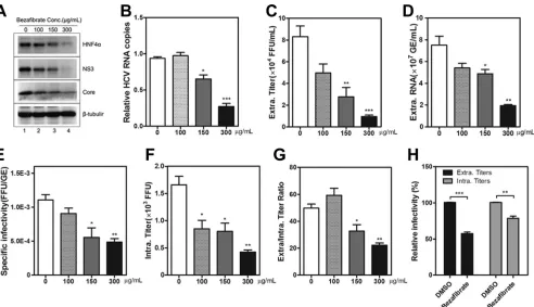 FIG 4 HNF4� antagonist bezaﬁbrate suppresses HCV assembly and secretion. Huh7.5.1 cells were infected with HCV-Jc1EGFP at an MOI of 0.02 in thepresence of different concentrations of bezaﬁbrate (0 �g/ml to 300 �g/ml)