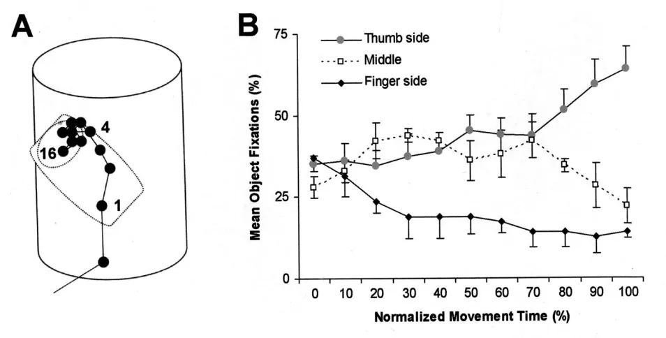 Figure 1: Changing visual fixations during precision grasping. Pilot data from 2 subjects (one right-