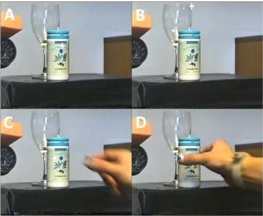 Figure 4: Representative gaze-hand recording frames. Panels show the gaze location (white cross) of the right eye in one subject at different times during a single reach-to-grasp of the target object (pill bottle) with the obstacle (wine glass) in the behi