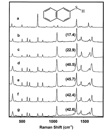 Figure 4.14 SERS from G5 DAB-Am/Ag nanoparticle LbL films, (a) Normal Raman 