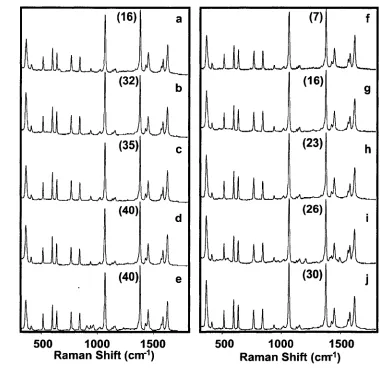 Figure 4.15 SERS from G1 DAB-Am/Ag nanoparticle LbL films. Comparison of 