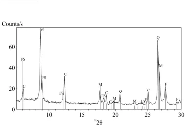 Figure 1. XRD diagram of clay phyllite sample. Note: C, chlorite; F, feldspar; I/S, interstratified illite/smectite phase; M, mica (illite); Q, quartz