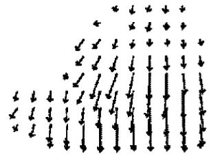 Figure 2.5: An example of optical flow: Moving objects identified using these motion vectors