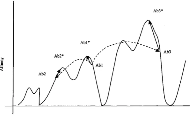 Figure 4.2: Schematic Representation of the Shape Space for an Affinity Landscape