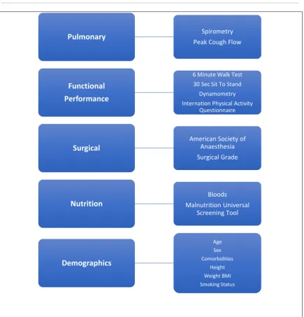 Figure 2.3 Pre-Operative Data Collection