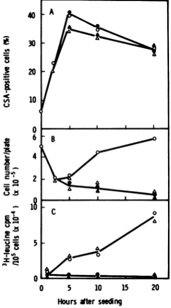 FIG. 3.Actcellafterandcellh155-4-03.addition after Effect of the time of addition ofAct D after seeding on the expression of HSV CSA in clone At the indicated times (0, 3, 5, and 10 h) seeding, cells were treated with Act D (2 pg/ml) reincubated at 37°C