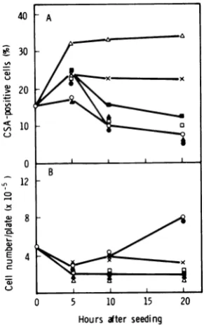 FIG. 7.andanduntreatedwithoutoutCSA;A,treatedcells Act Effect of antipain on HSV CSA expression cell growth in clone 155-4-213 incubated with without Act D