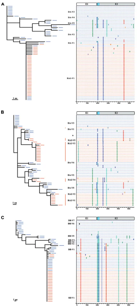 FIG 2 Phylogenetic relationships and patterns of substitution in HCV E1E2amino acid sequences between the transmission pair variants