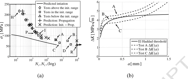 Fig. 9. Notched geometry results: (a) prediction fatigue life compared with the experimentalresults, (b) non propagating crack prediction.