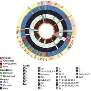 Figure 3. Circular trait plots of 101 adults. Concentric circles from innermost to the outermost position represent OTUs present: (1) life-stage, (2) normalized abundance (principal: common: 25–75%, rare: designations of individual OTUs