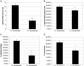FIG 8 Nucleoside supplementation reduces �-H2AX foci, anaphase bridges, and micronuclei, consistent with a replication stress response